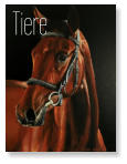 Tiere